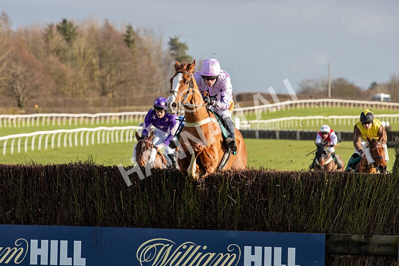 250225-Race 2-Treaty Boy-6188 - Race 2