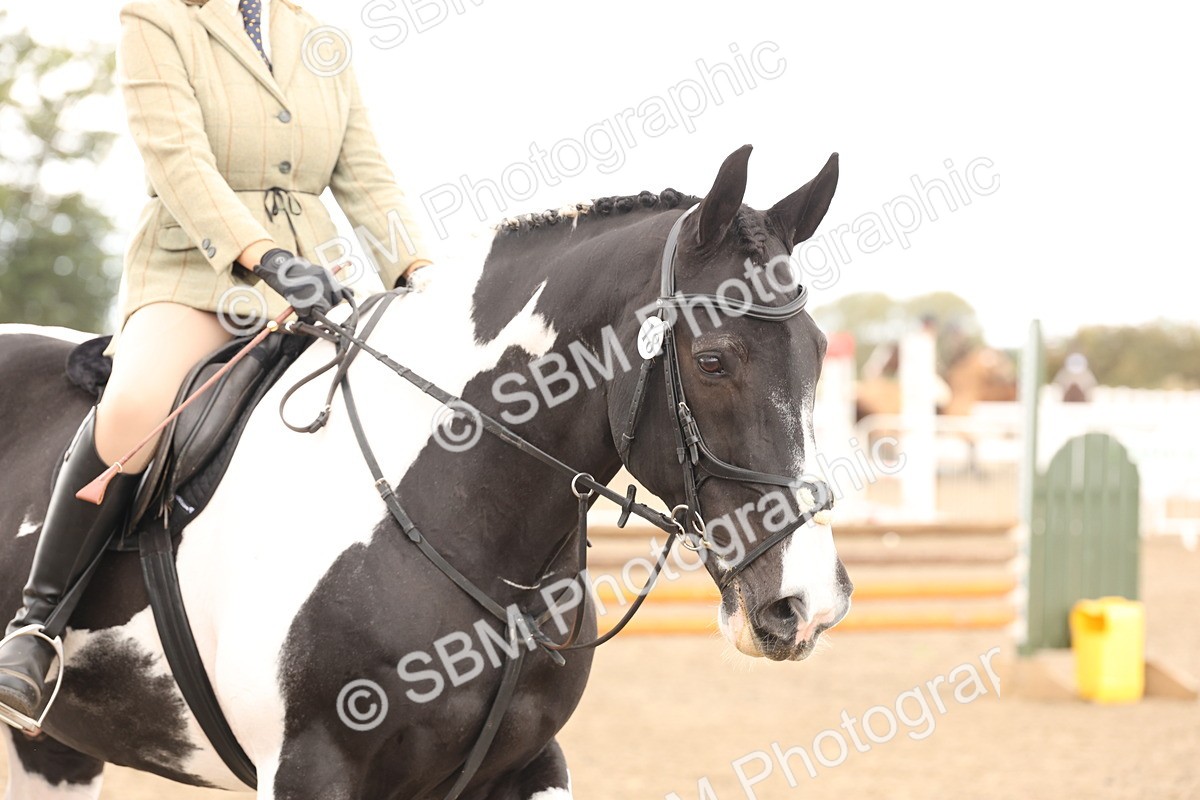 SBM_06722 - Class 58a -  Style & Performance - 70cm (15-19)