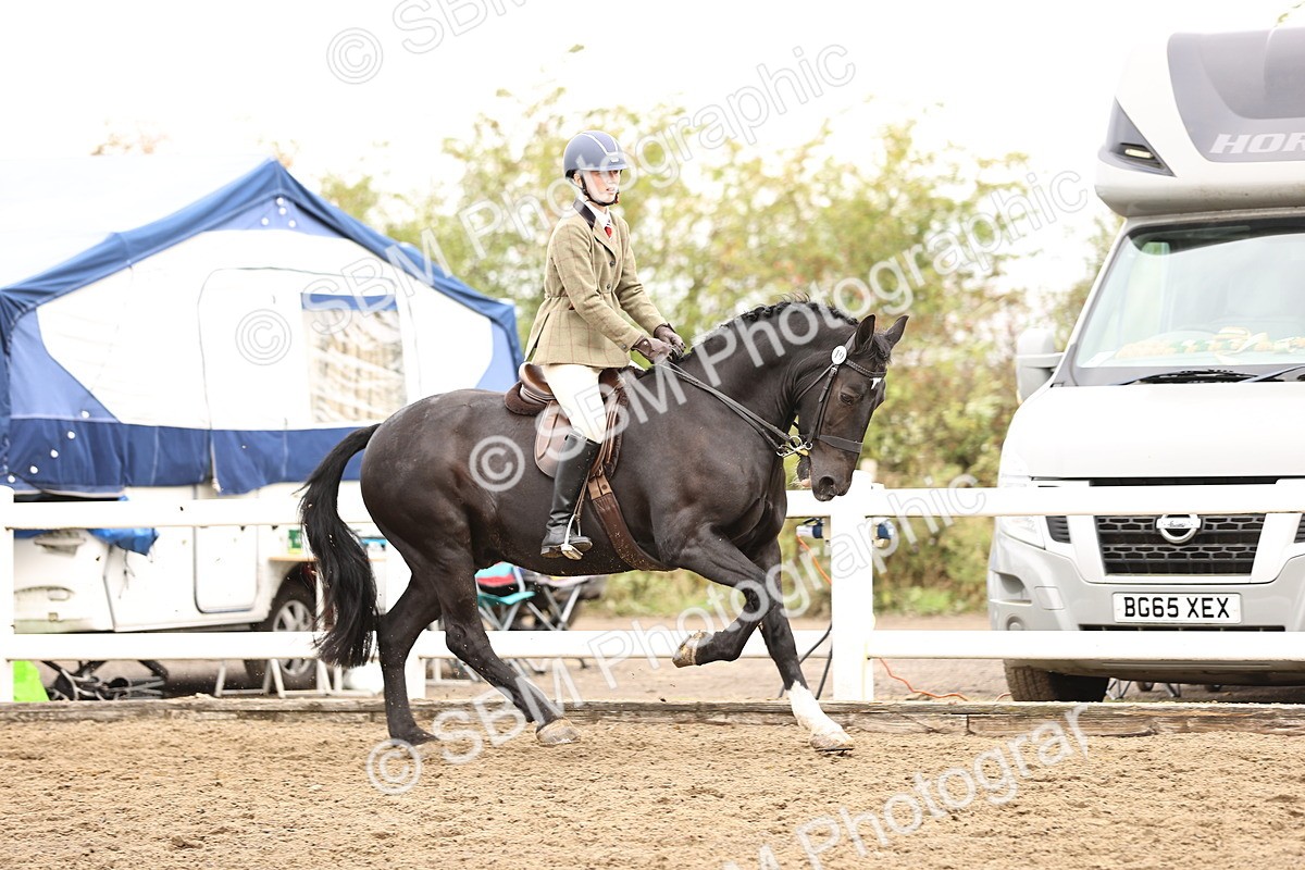 SBM_01358 - Class 54 - Riding Club Horse Pony