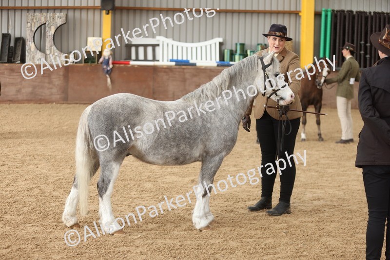 20251109-0635 - Class 22 - Geldings 4 Years and over