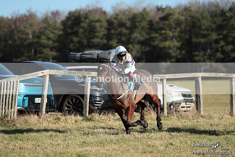 PR PtP 240126 76 - Pony Racing Horseheath 24/01/26