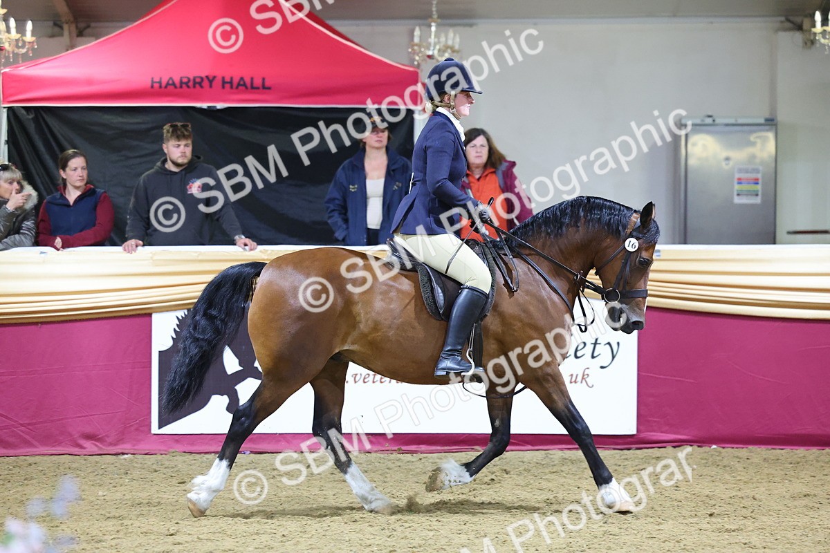 0B8A4694 - Class R Working Veteran Champ