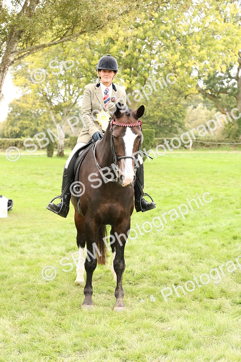 SBM_64344 - S65 - Riding Horse & Hack & Thoroughbred Ridden