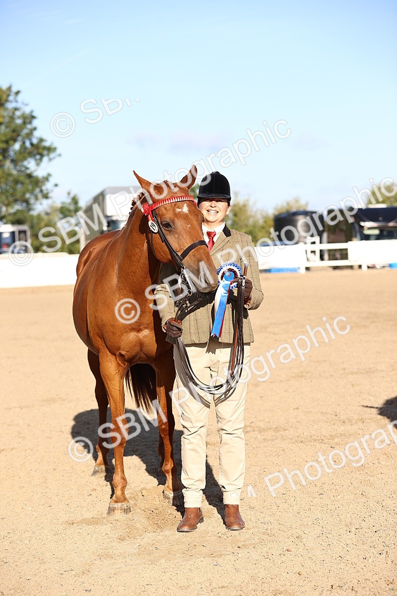 SBM_08384 - Class 401 - IH Veteran Horse