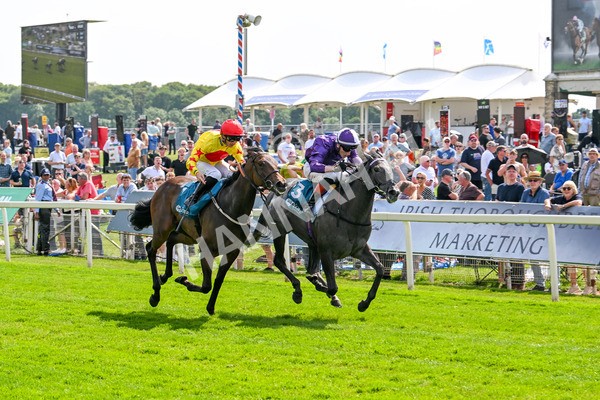 130625-Race 4-India Love-9247 - Race 4 3.35pm Juddmonte EBF Fillies' Restricted Novice Stakes