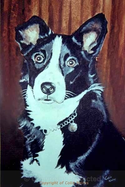 'Dog Portrait' - Commissioned Work
