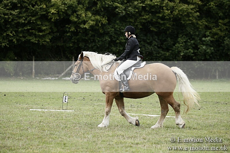 BVR080918 141 - BVRC Novice Dressage & CR 08/09/18