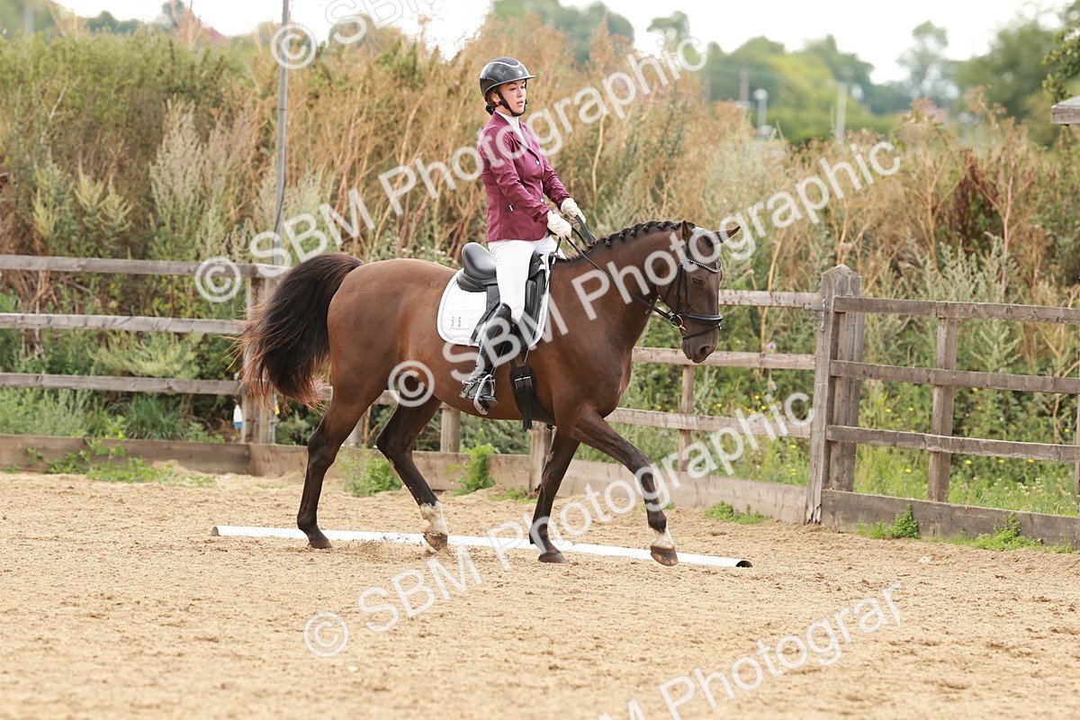 SBM_001740 - Novice 1