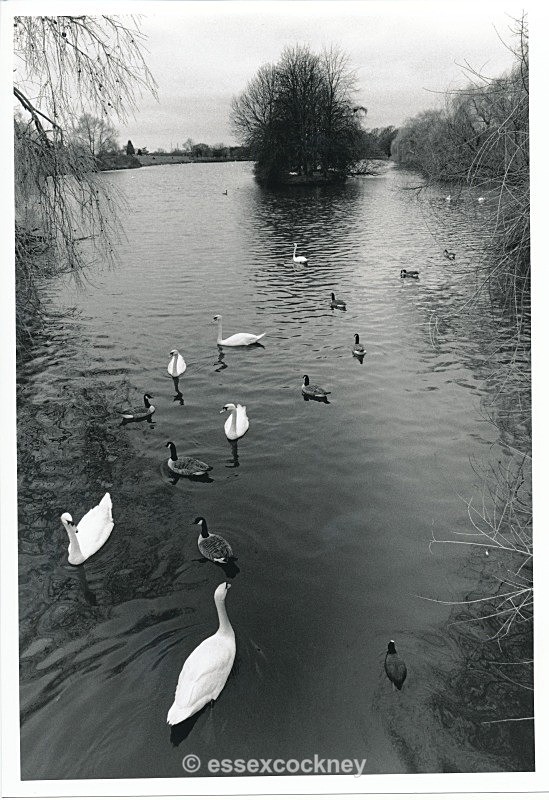  - Essex