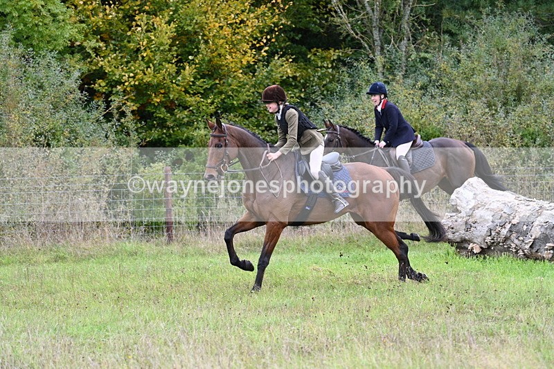 WJ7_3981 - Camera 1 Line 1