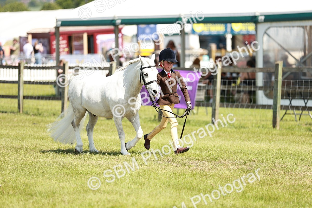 SBM_13577 - Class 108-109 - BSPS LIHS Open Gradle & Nursery Stakes