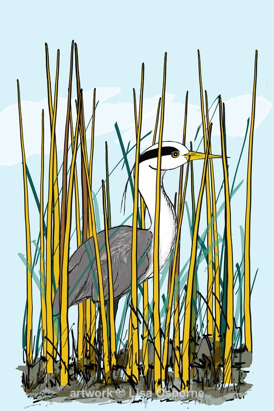 Heron - DIGITAL ARTWORK