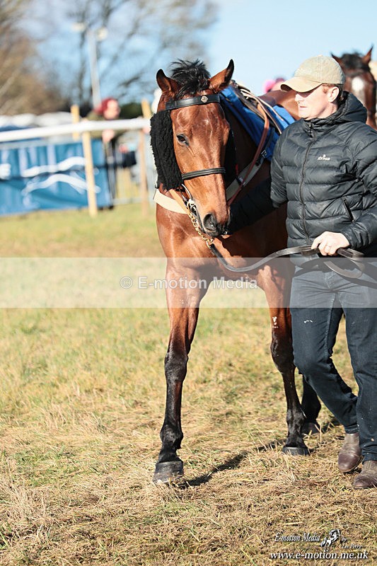 PtP 240126 217 - Cambridgeshire & Enfield Chase PtP Horseheath 24/01/26
