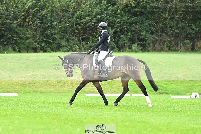 241024-100750-02929 - 406-Harvey.Crocker-THE.NIGHT.TRAVELLER