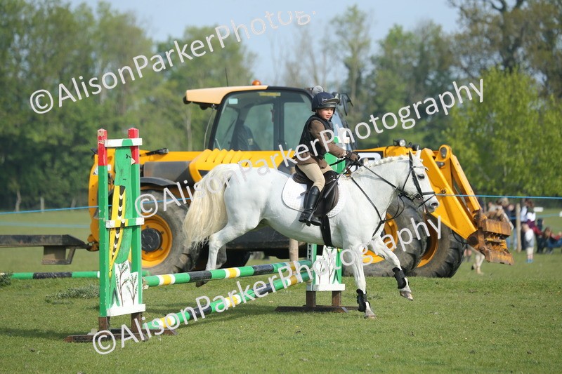 20260426-0129 - Class 13 - Rookie Jumping 50cm