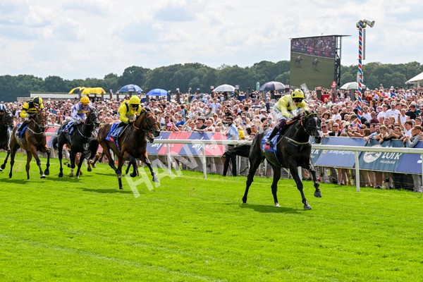 260725-Race 3-Royal Champion-0453 - Race 3 2.40pm Sky Bet York Stakes
