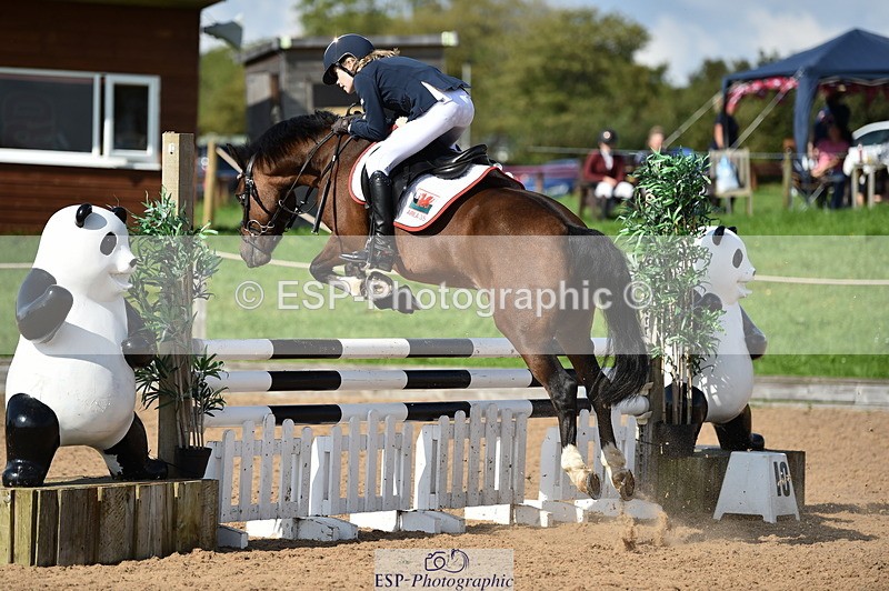 230902A-154310-02002 - Cls 4A Pony Big 95cm