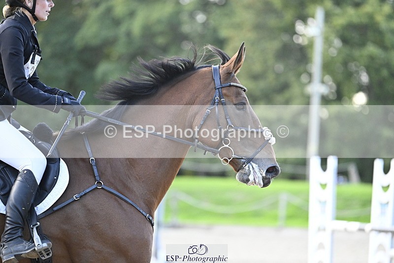 251005A-175852-05517 - Cls 12 Adv 1.10m Ind