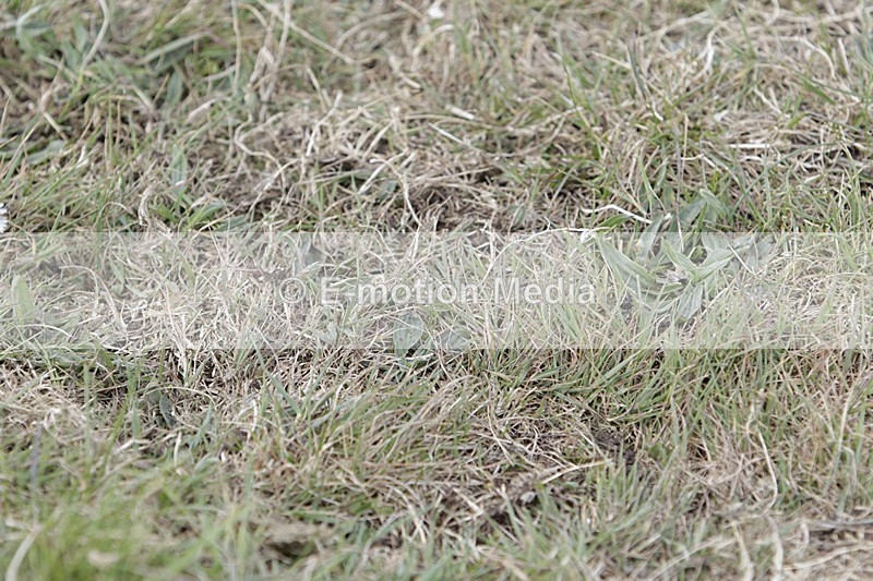 BVHT 140517 I-803 - Class 1 SJ Intermediate 14/05/17