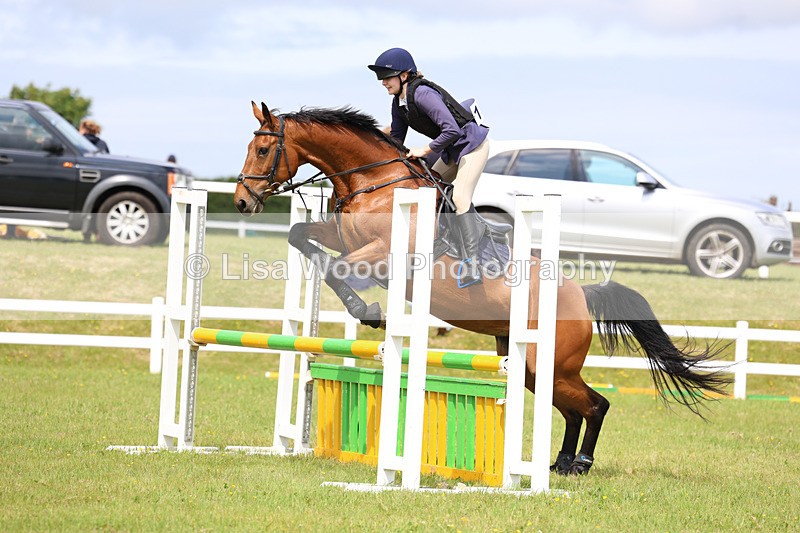 3E7A7632 - Class 13: Senior British Novice/90cm open