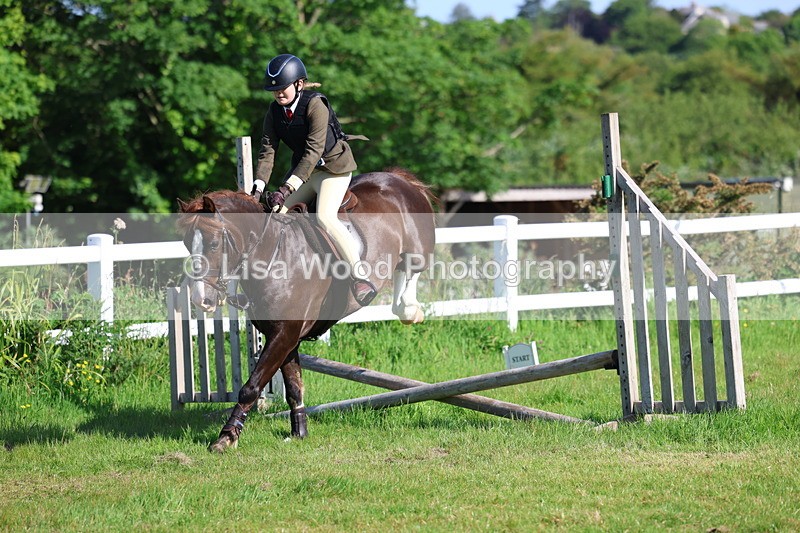 3E7A5926 - Class 27: Novice Working Hunter Pony