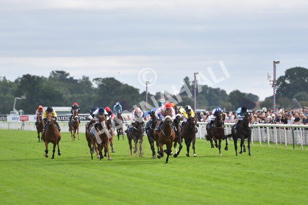 yr18082021r5-60 - Race 5 4.10pm Sky Bet Stakes