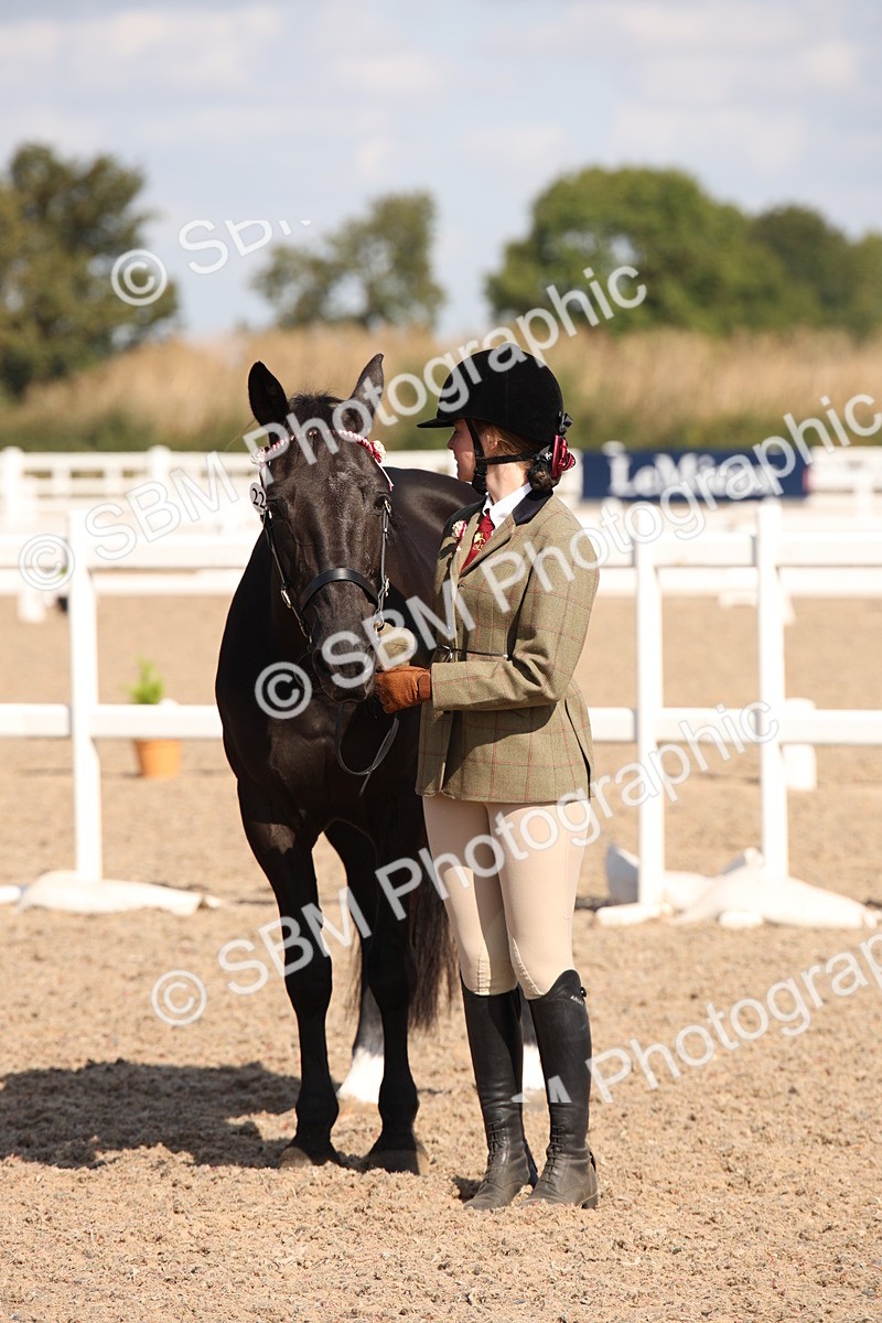 SBM_03025 - Class 17 Prettiest Mare IH or Ridden