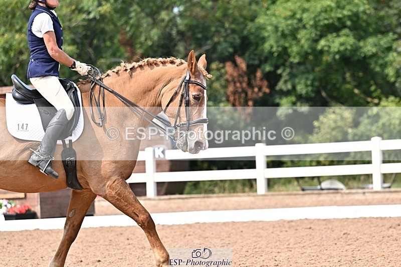 250816-142406-05346 - 147-Gill.AmosCoille.Mor.Pearl