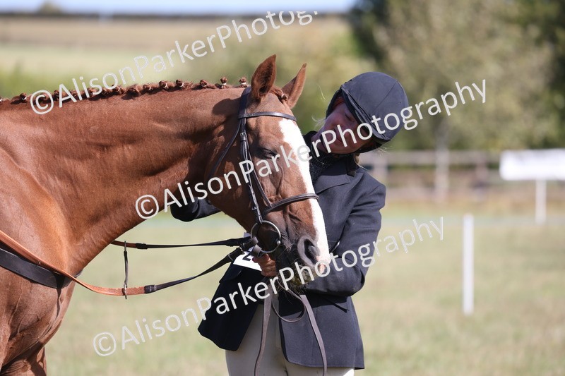 20260906-0699 - Class 22 - Ex Racehorse