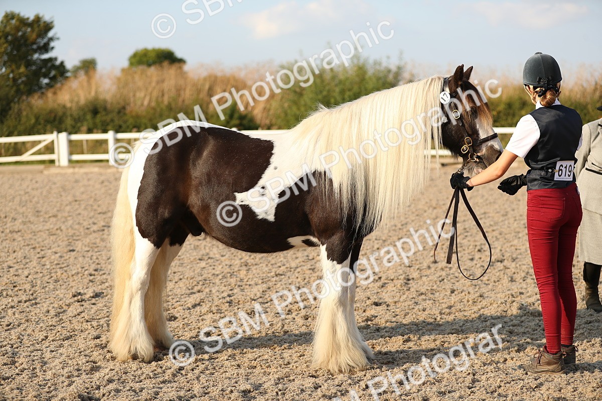 SBM_09075 - Class 29 IH Veteran Pony