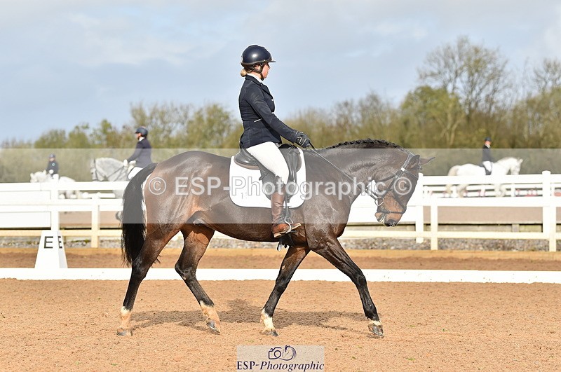 231104A-112810-01547 - Cls 5 Novice 37A