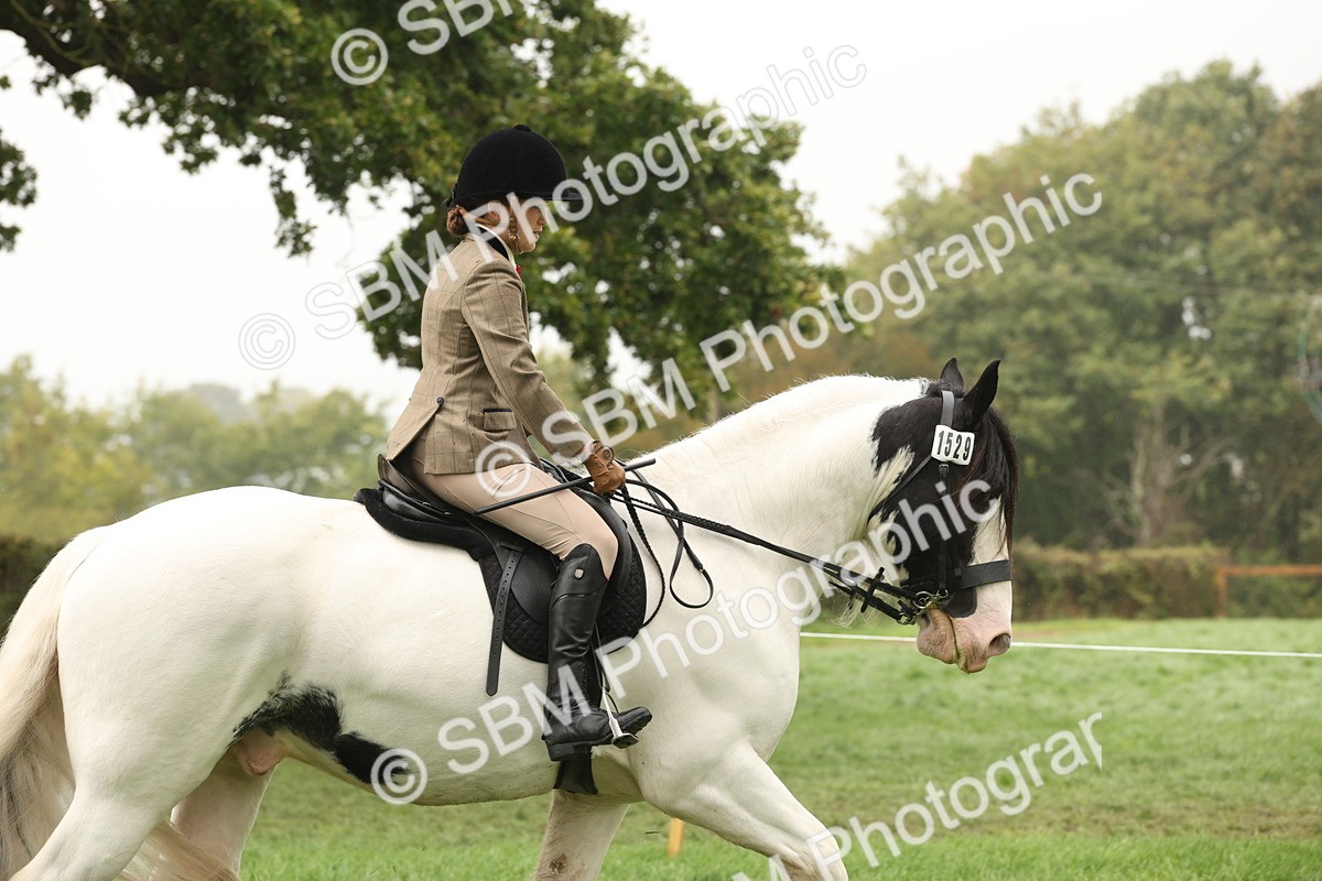 SBM_72686 - S70 - Traditional Cob Ridden