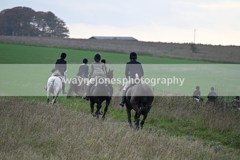 WJ7_0025 - Camera 1 & Last fence