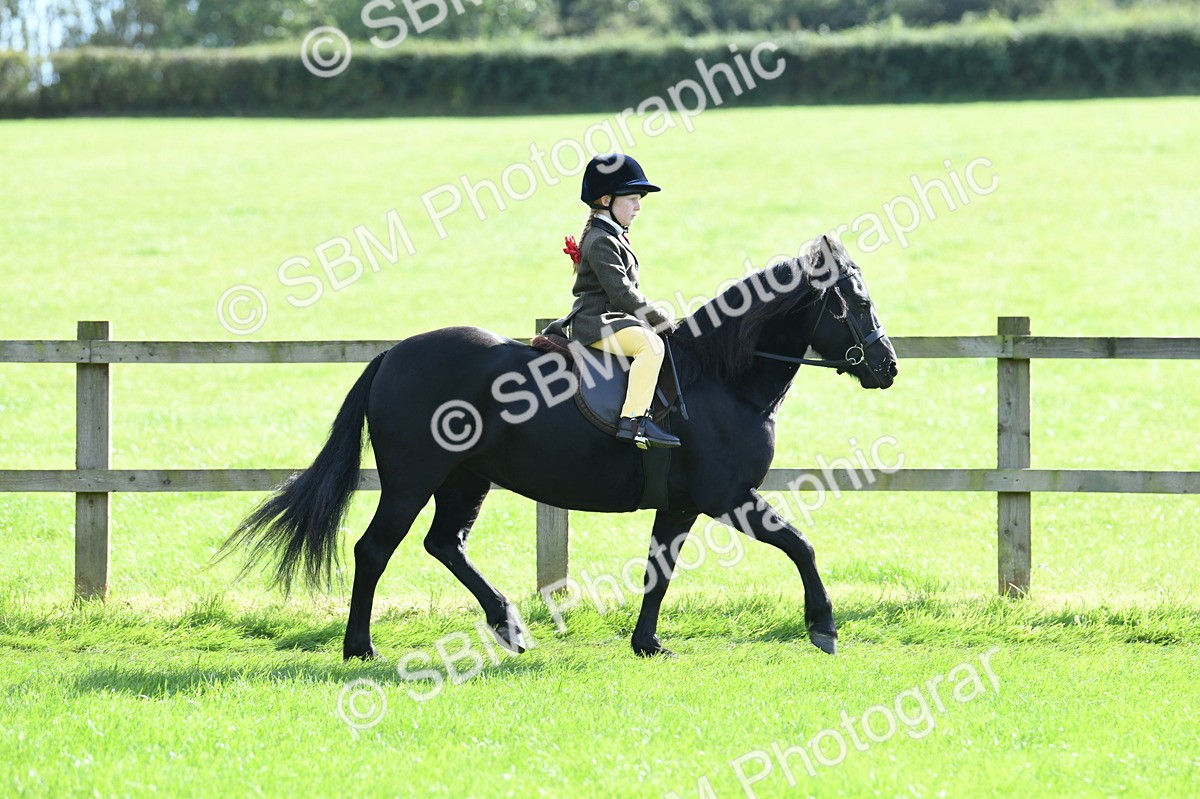 SBM_50268 - S21 - Novice & Newcomers 1st Ridden Pony