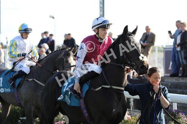 yr08102022r5-9 - Race 5 3.50pm The Coral Committed To Safer Gambling EBFStallions.com Maiden Stakes