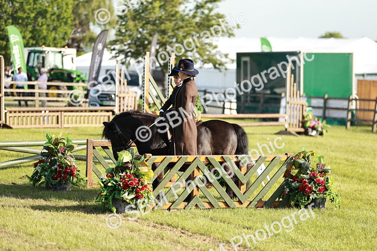 SBM_11074 - Class 106-107 - BSPS LIHS Working Sports Pony