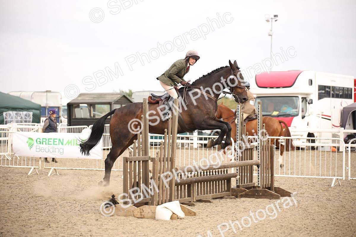 SBM_17097 - Class 409b - Working Veteran 80cm (20+)