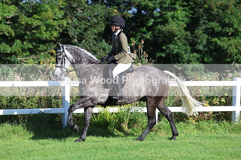 3E7A7611 - Class 1: Novice Working Hunter Pony