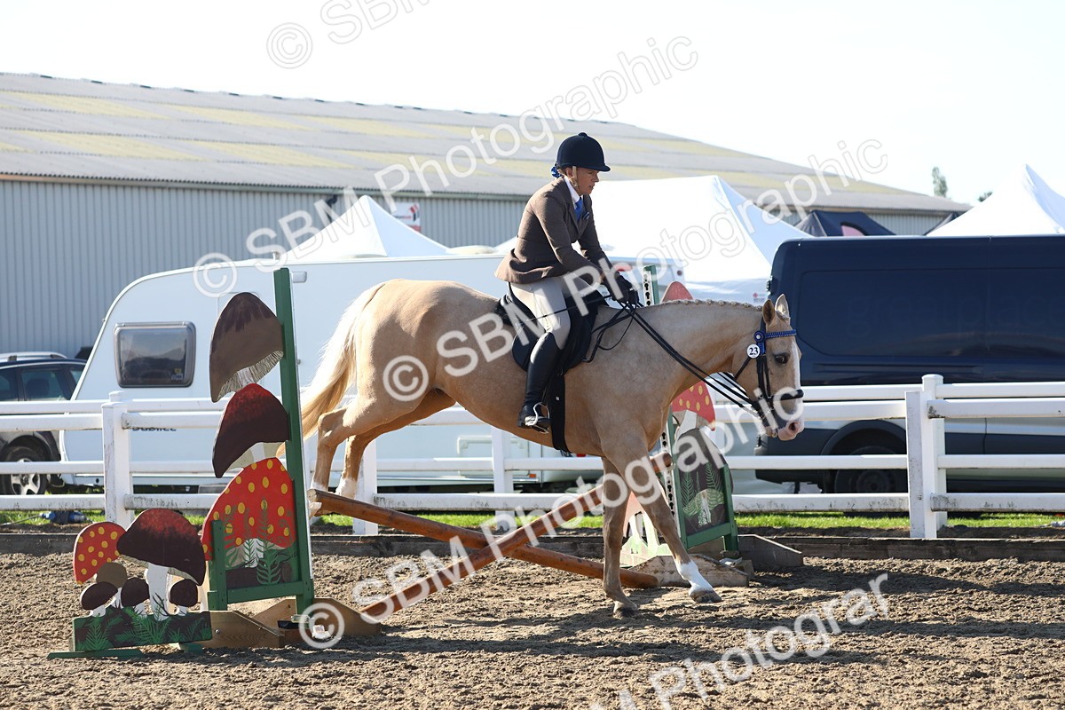 SBM_08588 - Class 502 - Riding Club Horse