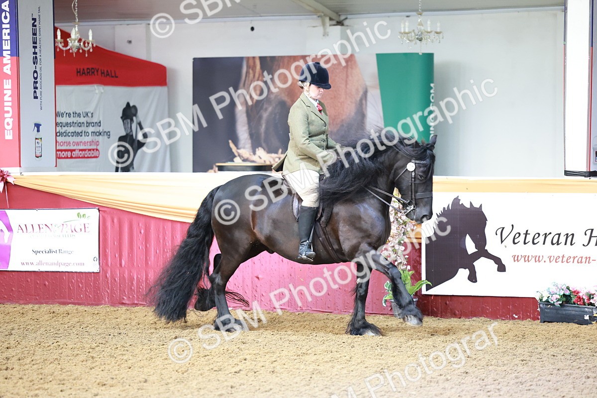 SBM_11870 - Class 102 - Equitation (Best Rider) Adult