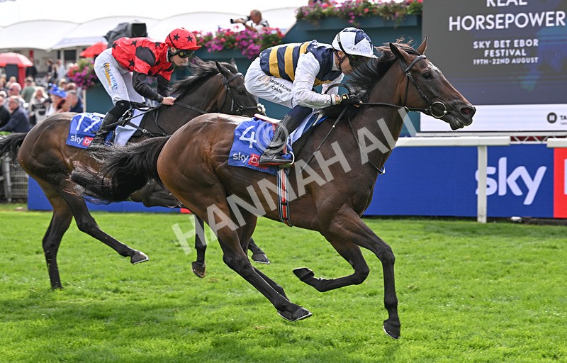 190826-192 Small Fry - Race 5 16.10pm Sky Bet Stayers Handicap