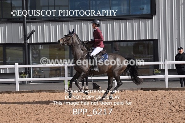 BPP_6217 - CLASS 11 THURS GFS Saddles Senior Newcomers/1.10m Open