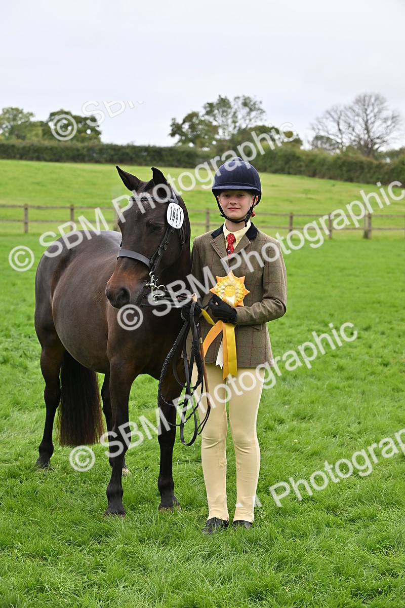 SBM_64958 - S50 - Show Pony & Show Hunter Pony In Hand