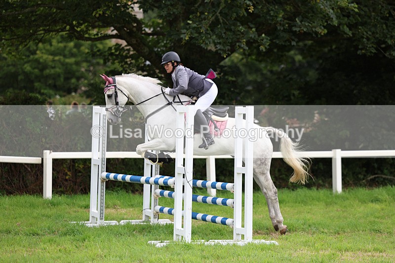 3E7A7220 - Class 5: Senior British Novice/90cm open