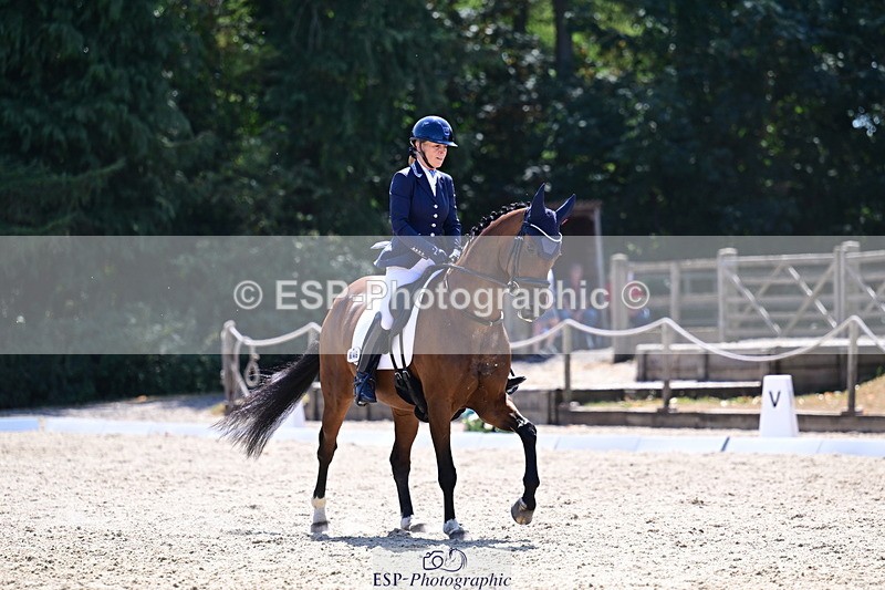 260731A-143948-01993 - Medium Bronze 13.45- Break