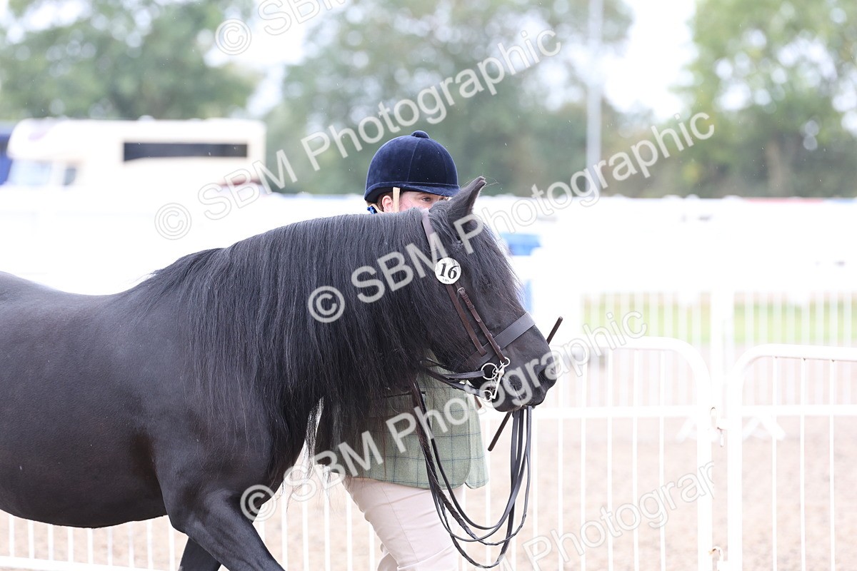 SBM_00021 - Class 50 - Best Turned Out IH