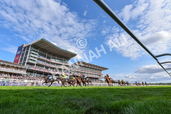 220825-Race 6-Frescobaldi-9512 - Race 6 4.45pm British Stallion Studs EBF Convivial Maiden Stakes