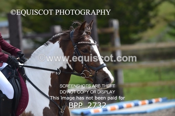 BPP_2732 - CLASS 29 STX-UK Pony BritiNovice / 0.80m Open