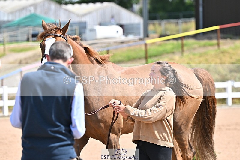 240718A-105239-00991 - Trot Up 11am to 12pm