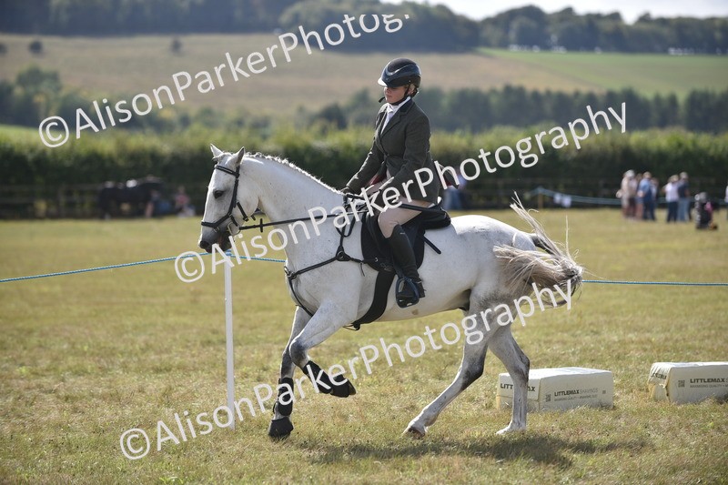 20260906-2708 - Class 13 - Working Hunter Horse or Pony